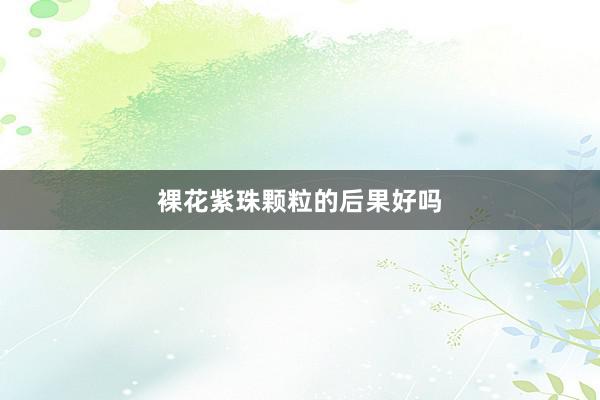 裸花紫珠颗粒的后果好吗